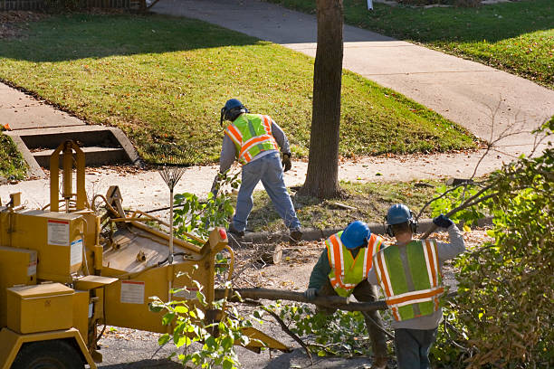 Best Aeration Services  in Emporia, VA